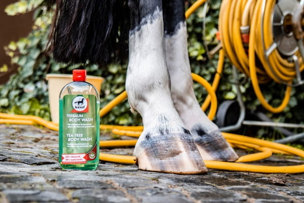 Leovet Teebaum Shampoo 500ml