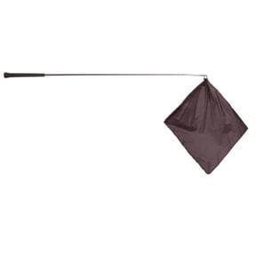 Carrot Sticks, Flags & Co