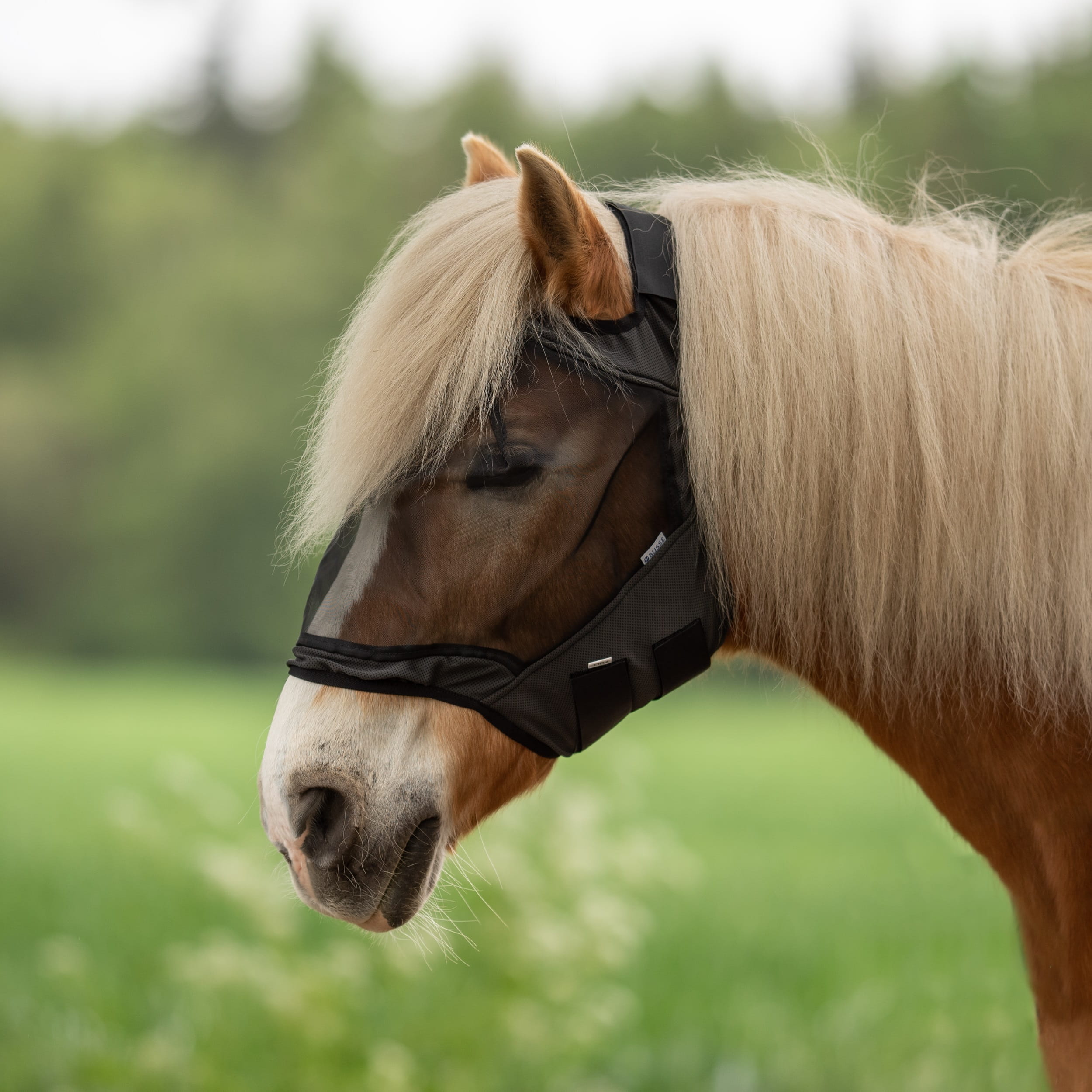 Busse Fliegenmaske Fly Guard Free