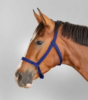 Weidehalfter & Fressbremsen