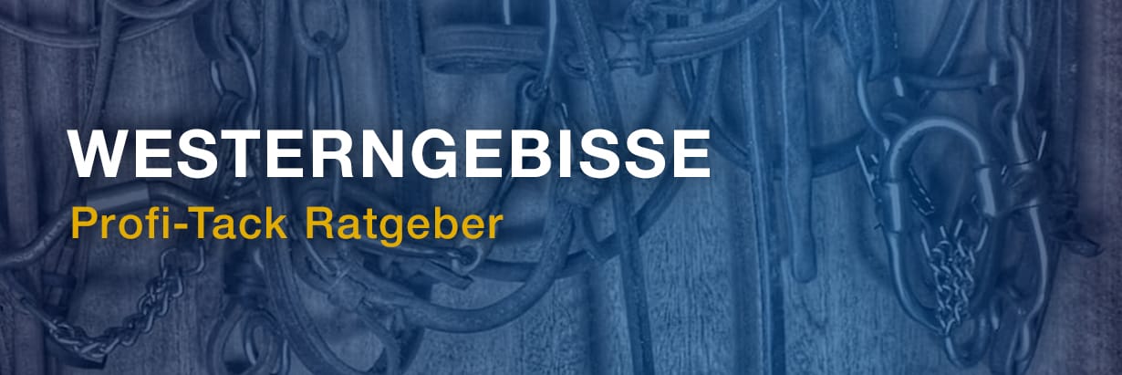 Ratgeber für das richtige Westerngebiss