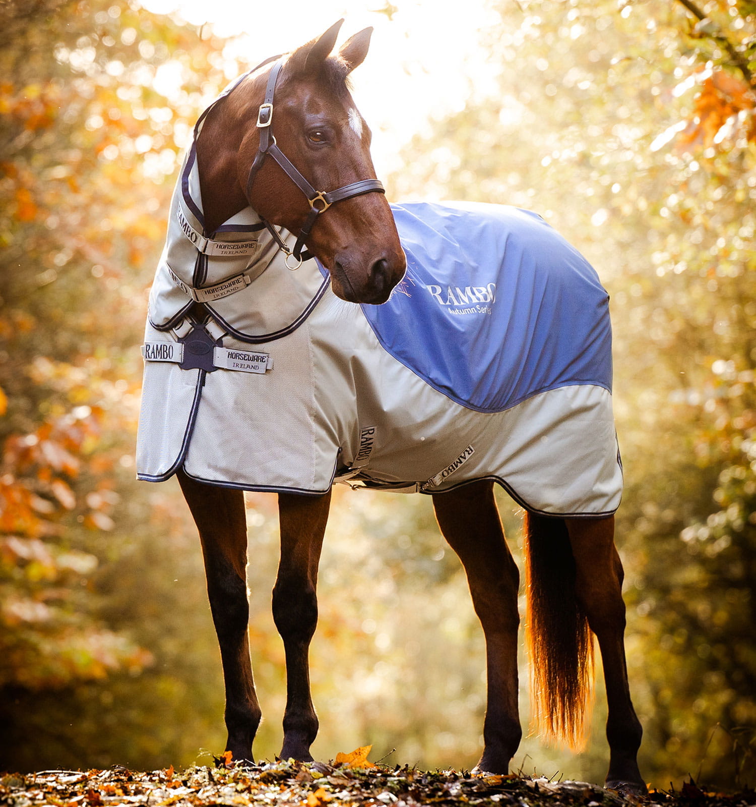Horseware Rambo Autumn Turnout