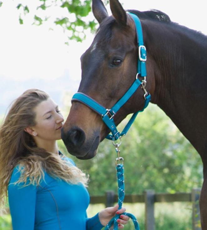 Woof Wear Halfter Colour Fusion