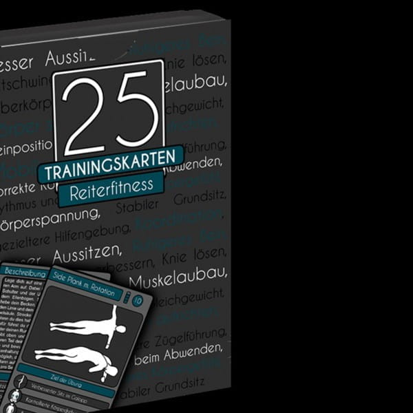 25 Traingskarten Set für Reiter
