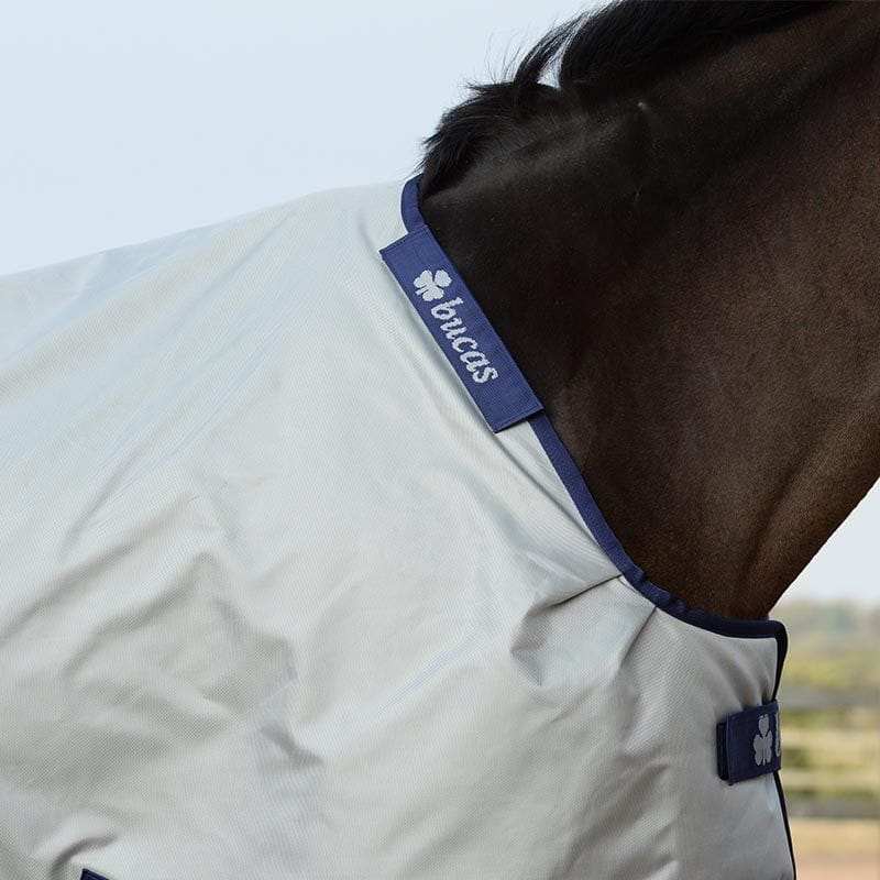Bucas Power Turnout light Big Neck