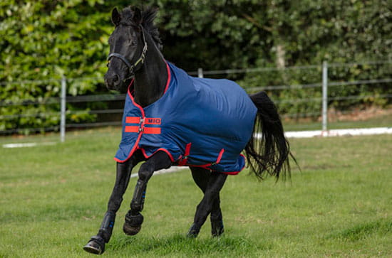 Horseware Amigo Mio Lite dark blue