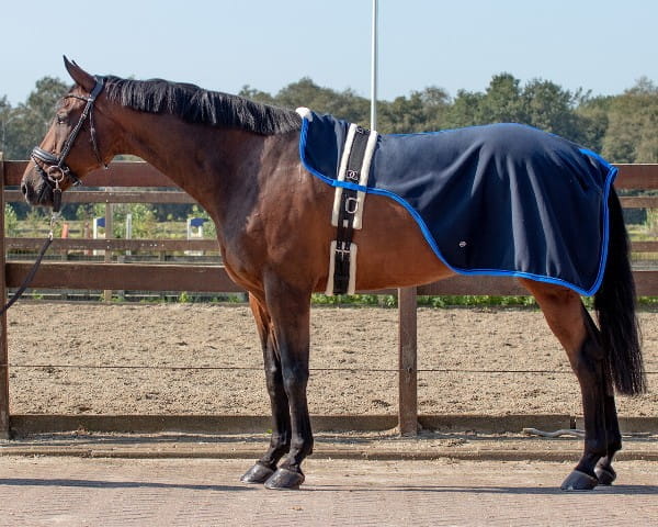 Longierdecke Florance