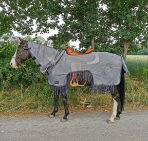 Fliegenausreitdecken