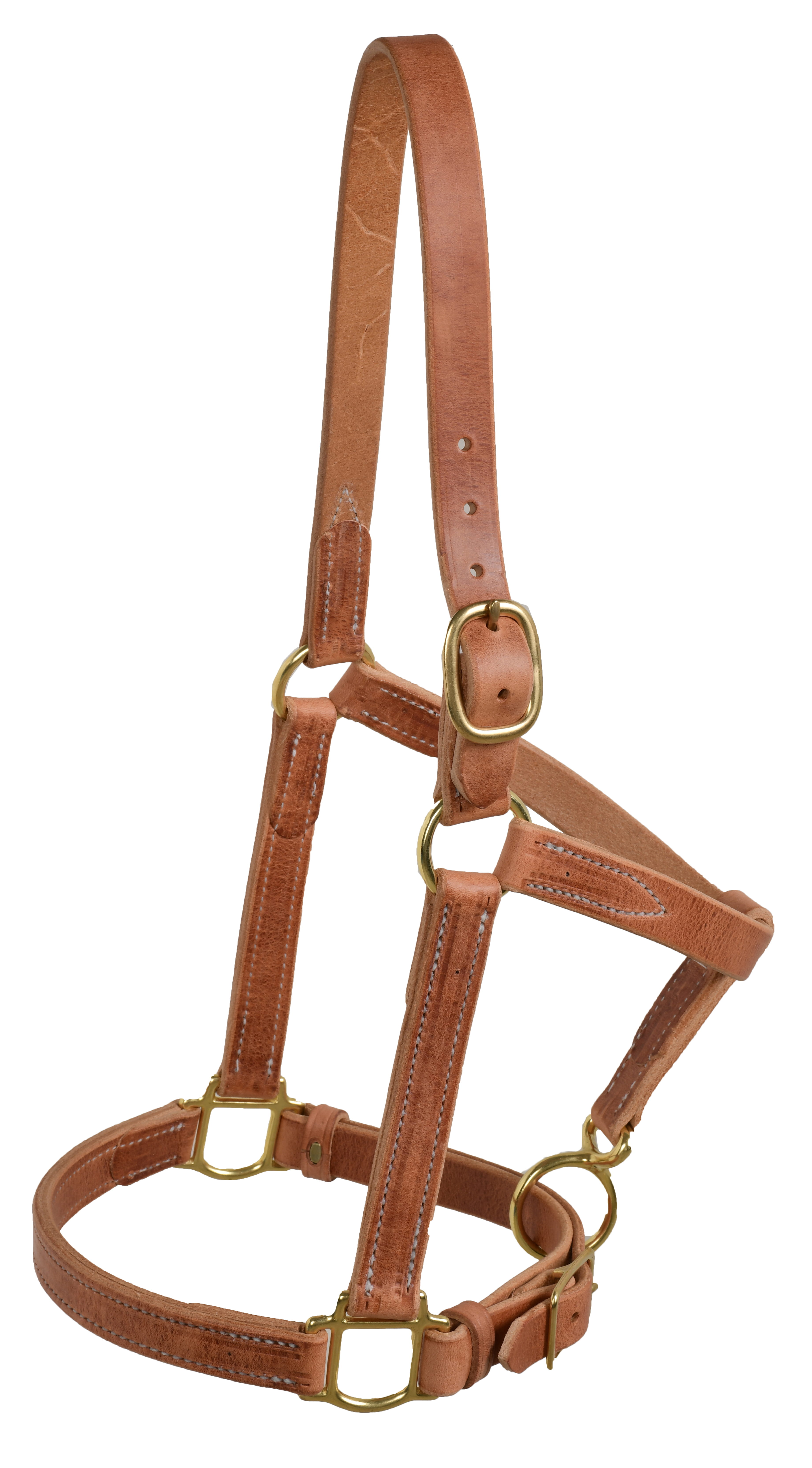 Ultimate Cowboy Gear Lederhalfter Horse