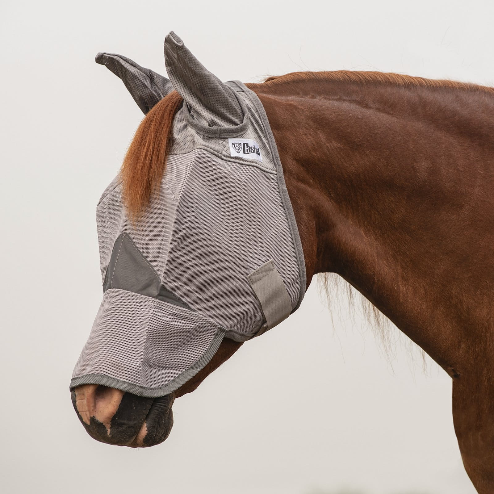 Crusader Fly Mask Cashel UV-Schutz Fliegenmaske Ohren und Nase