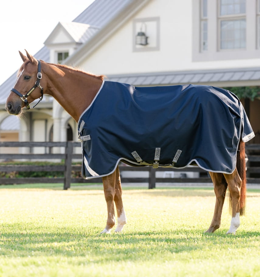 Horseware Amigo 1200D Turnout 50g