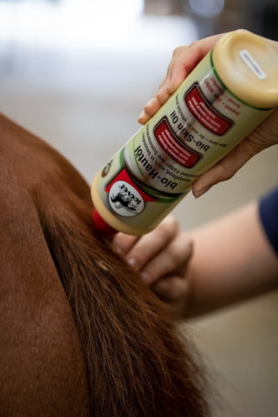 Leovet Bio-Hautöl 500ml