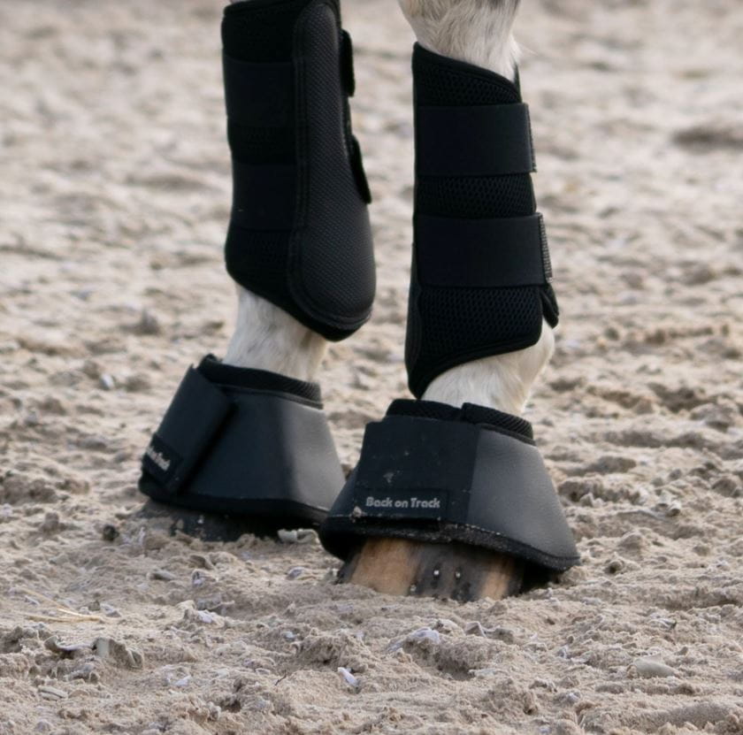 Back on Track Hufglocken