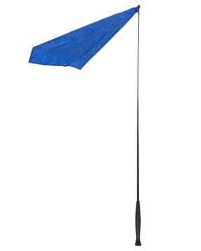 Carrot Sticks, Flags & Co