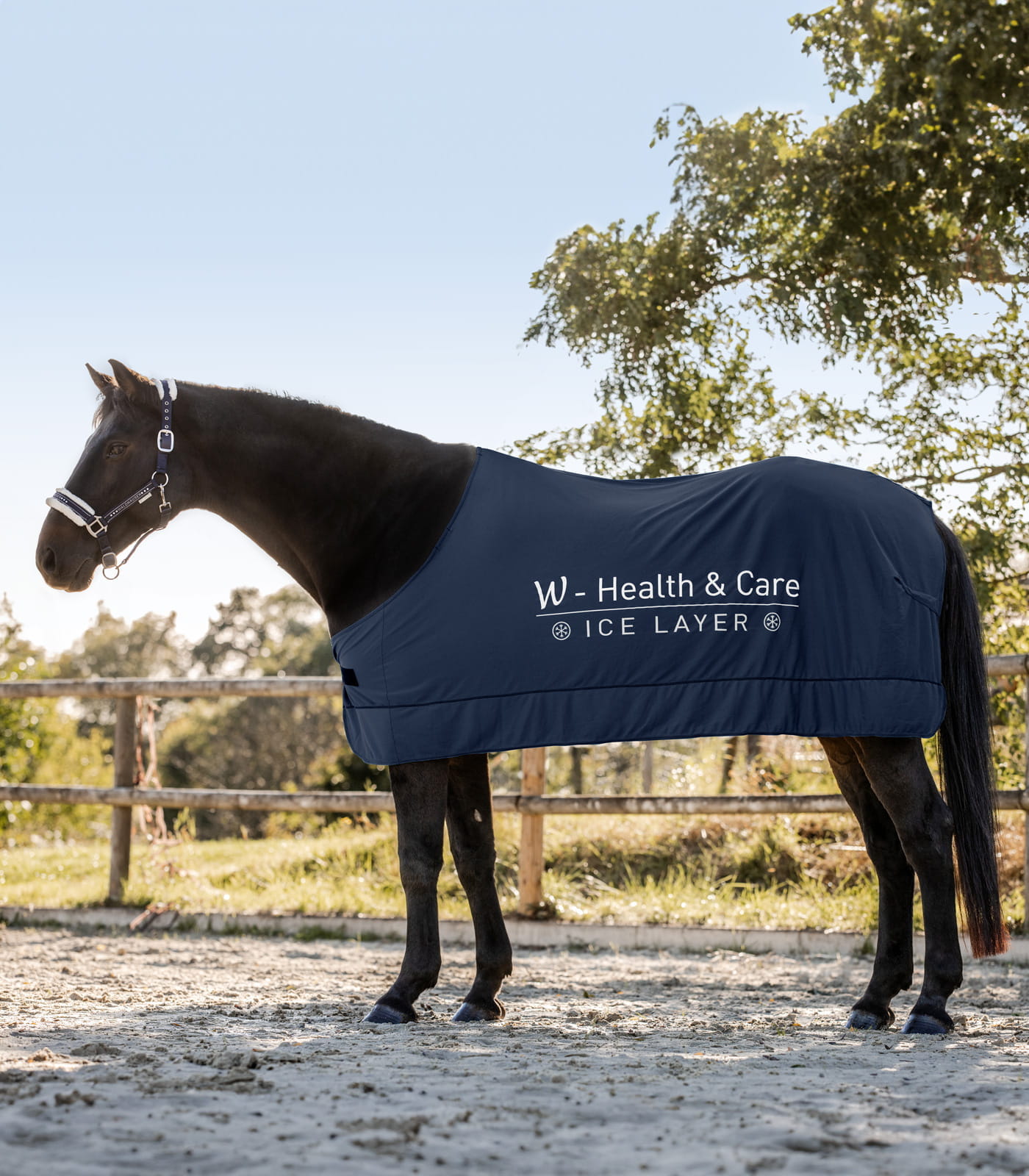 W-Health & Care Ice Layer Decke
