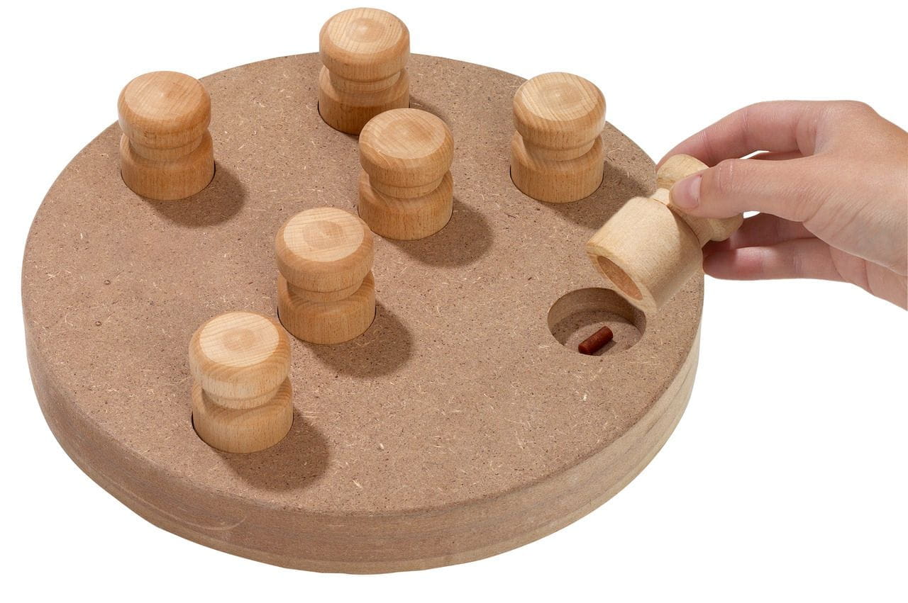 Brain Train Penny 2 in 1 interaktives Hundespielzeug