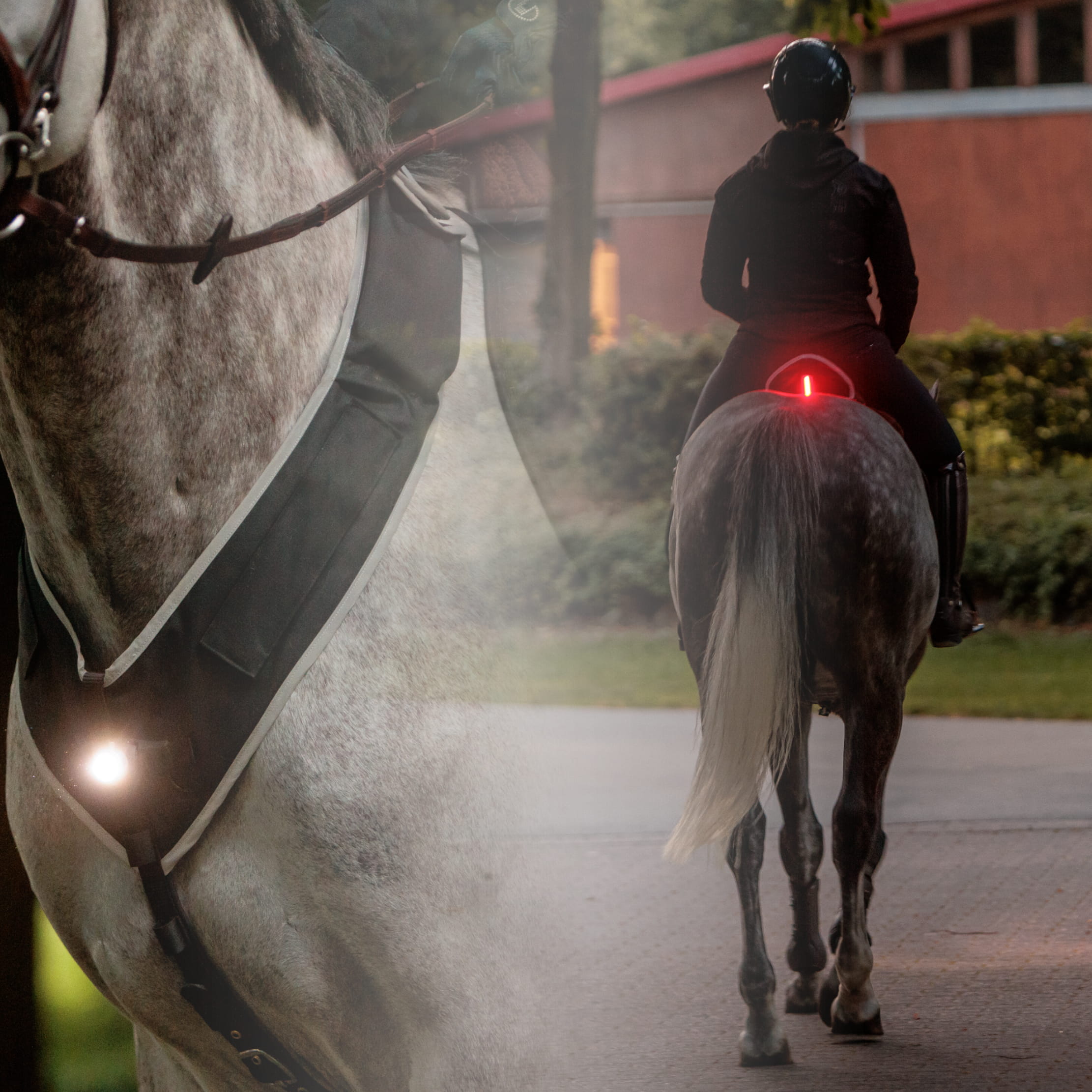 Horselight Set- Vorderzeug +Sattelhusse-inkl. Leuchten