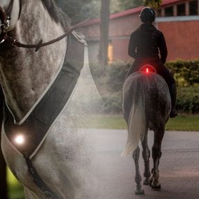 Reflektor & Sicherheitsartikel