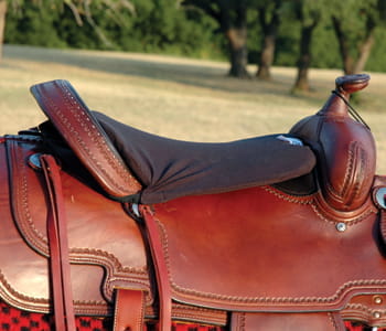 Cashel Western Long Tush Cushion