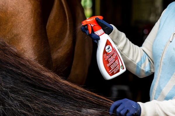 Leovet 5 Sterne Striegel