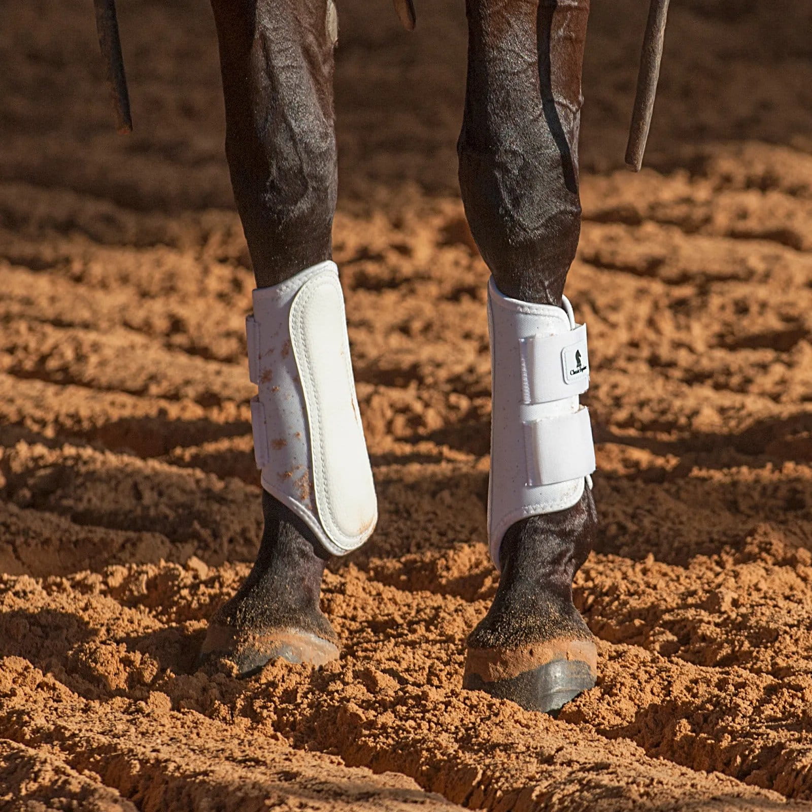 Classic Equine Splint Boots