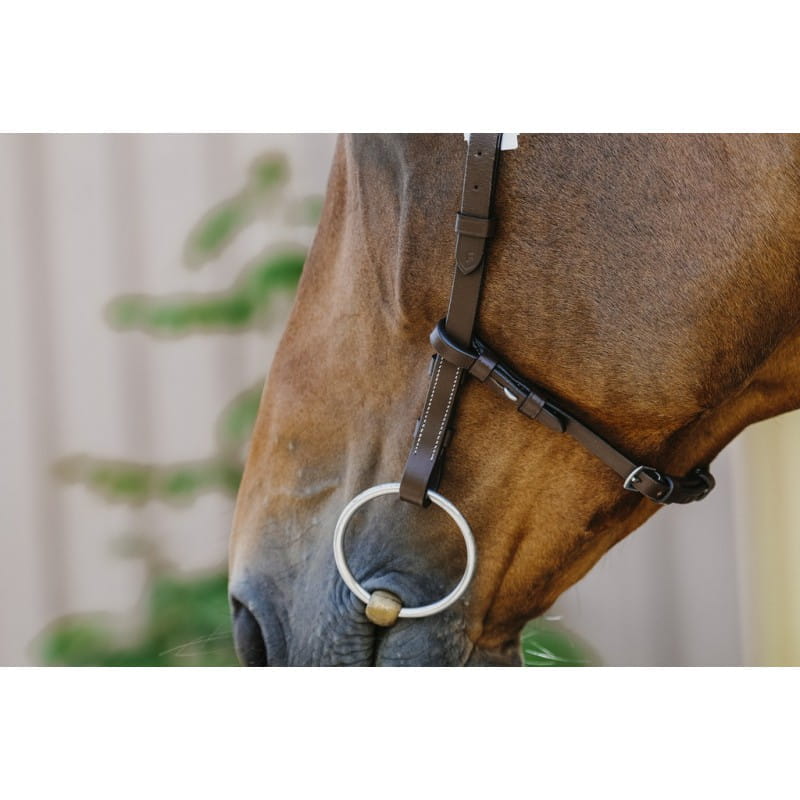 NORTON Freedom Trensenzaum Kopfstück