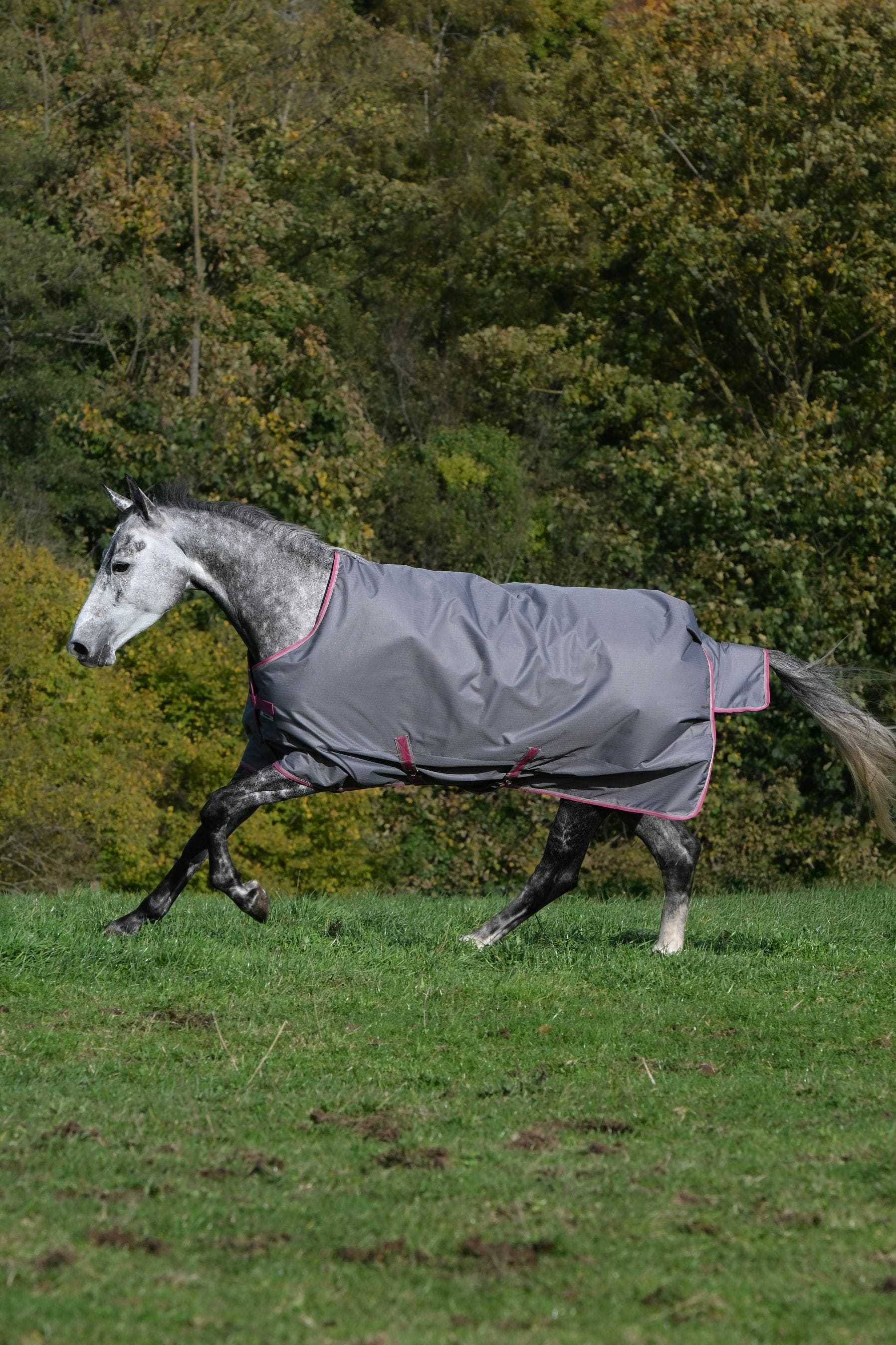 Bucas Freedom Turnout light 0g Regendecke
