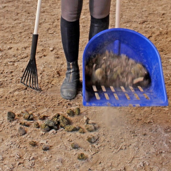 XL Bollensammler Shaker mit Rechen