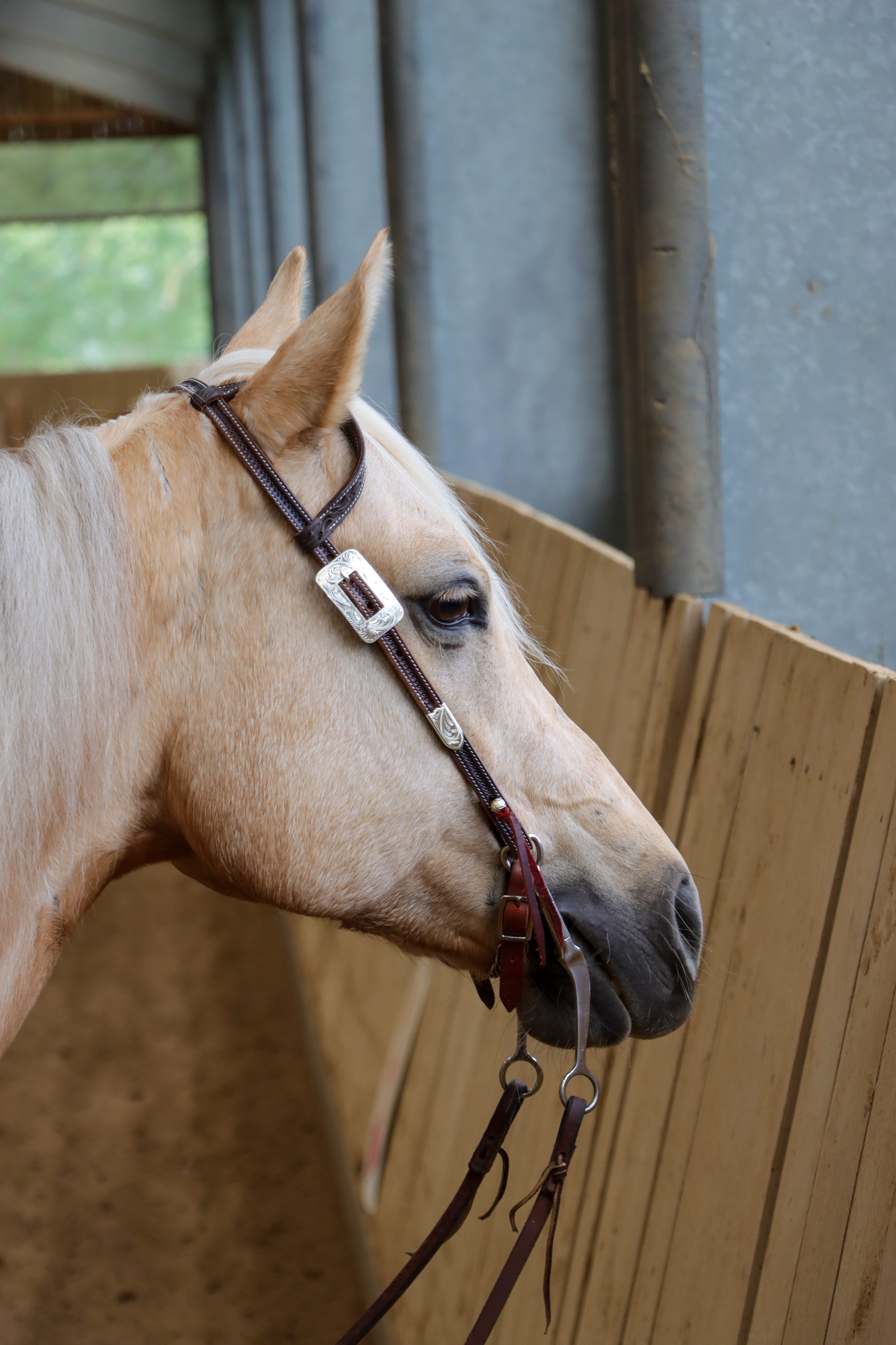 Cattleman`s Hansen Silver Double Ear