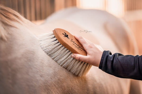 Bense & Eicke Wurzelbürste "SchmutzLiese"