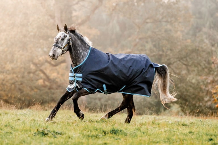 Amigo Bravo 12 mit 100 Gr Füllung