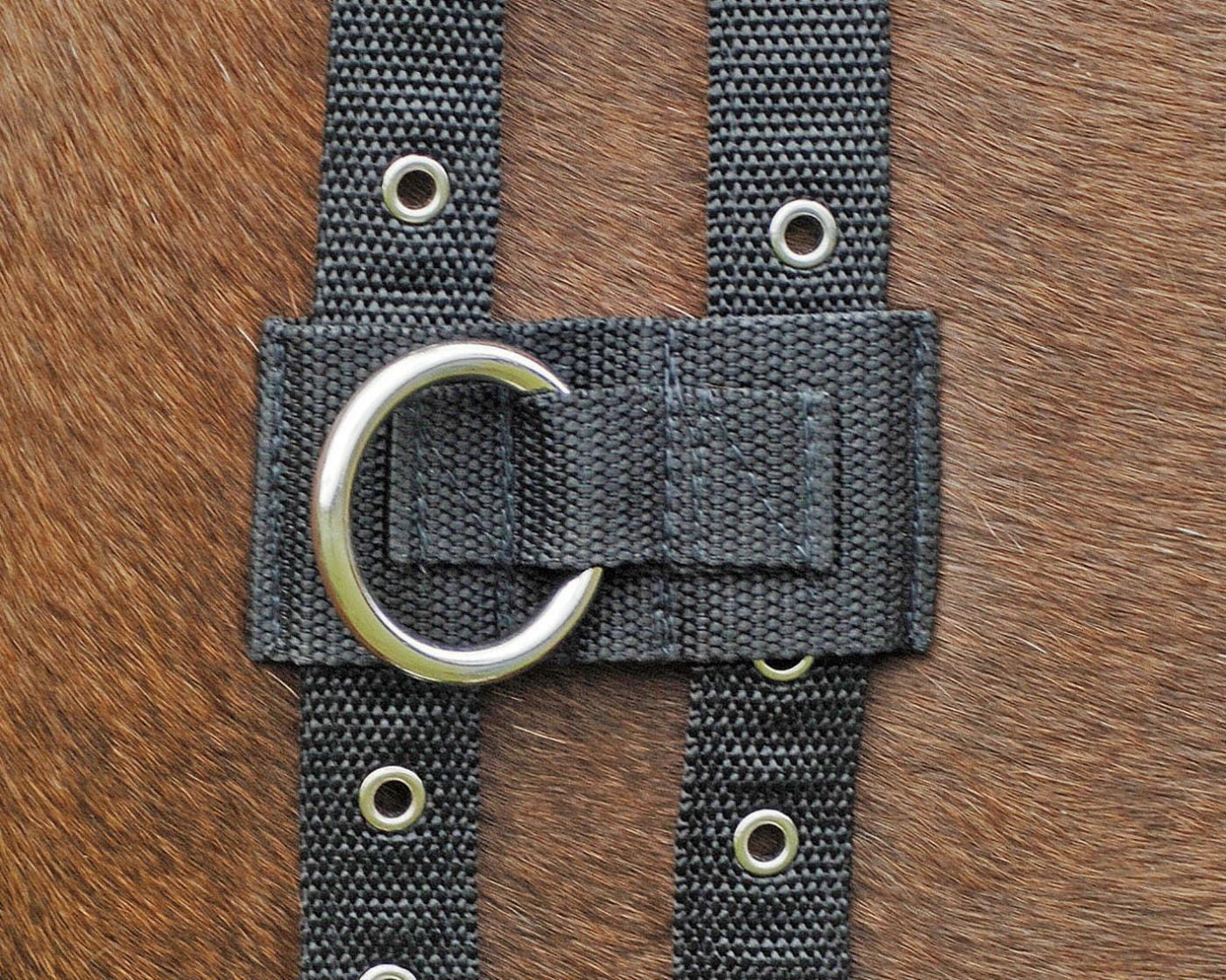 Ausbindering Longiergurt Variabel