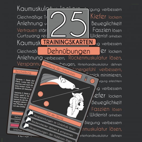 25 Trainingskarten Dehnübungen