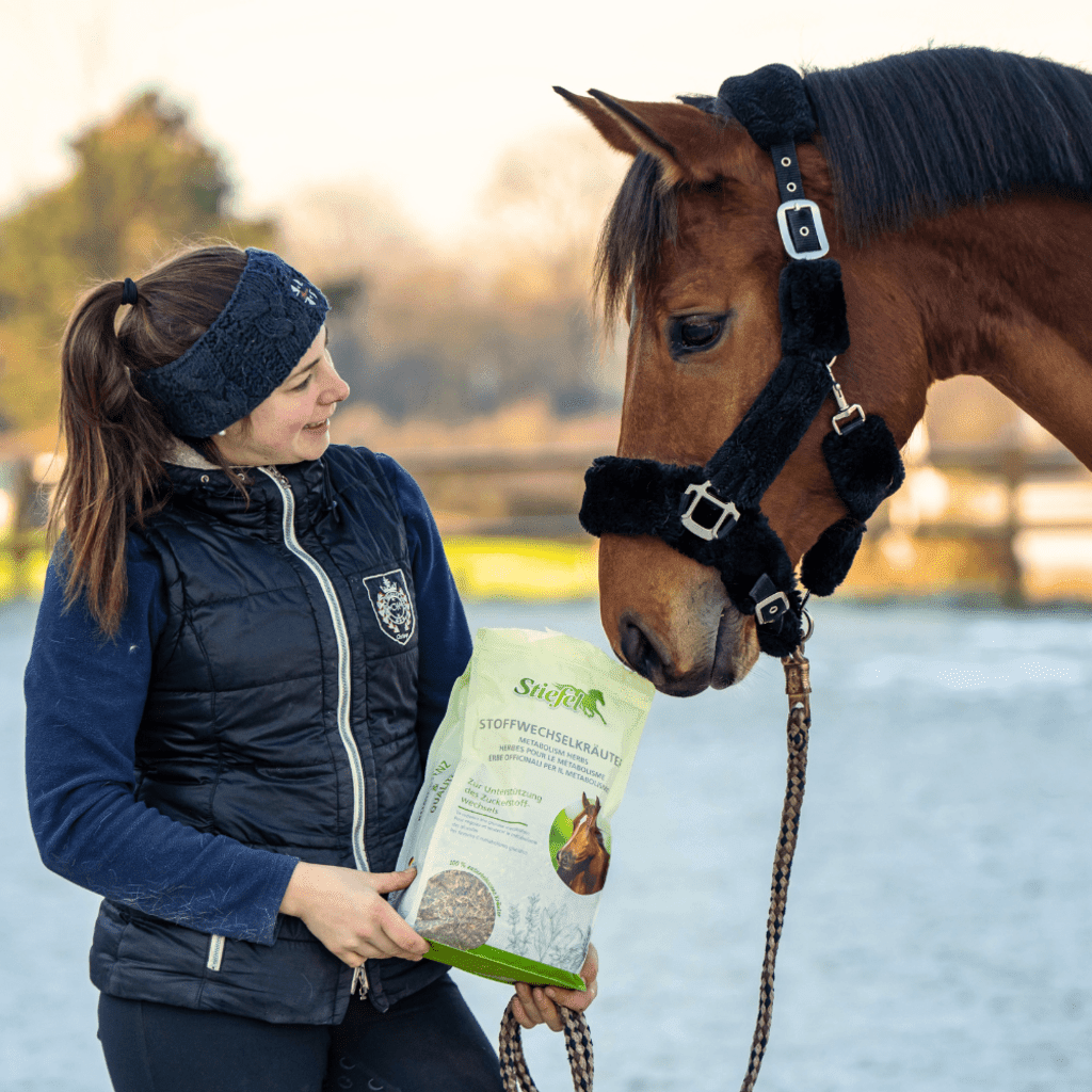 Stiefel Stoffwechselkräuter 1kg