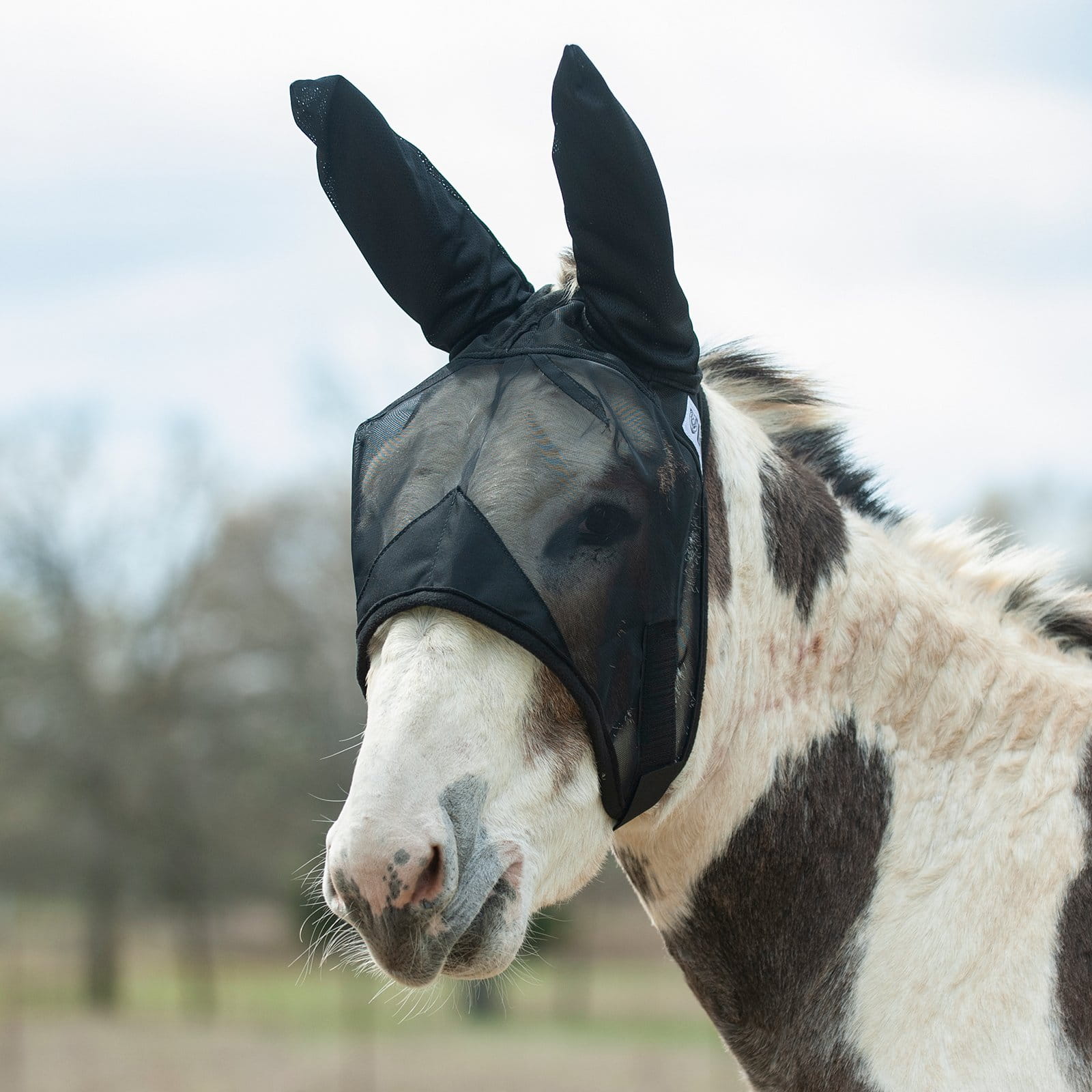 Cashel Quiet Ride Fly Mask with Mule Ears