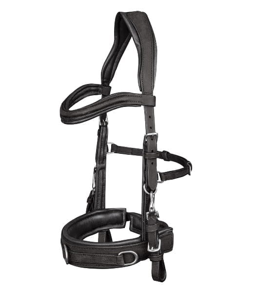 Lederkappzaum Anatomic