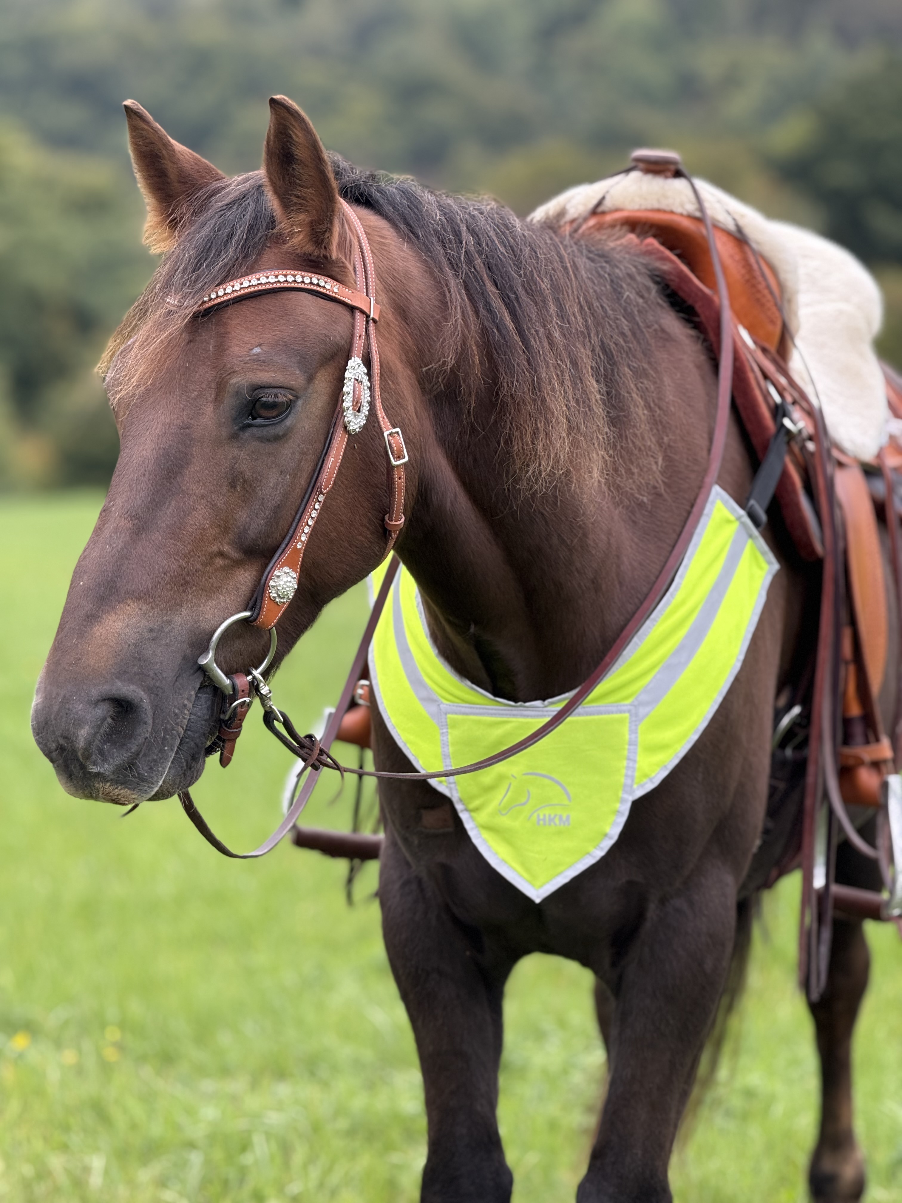 Vorderzeug Reflective