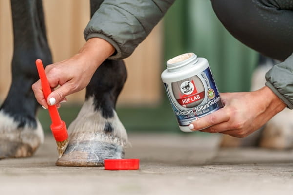 Leovet Huflab Oel Balsam mit Biotin