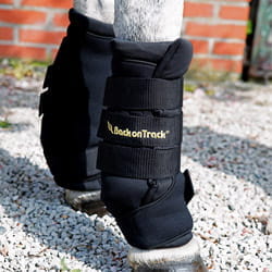 Back on Track Stallgamaschen Royal schwarz