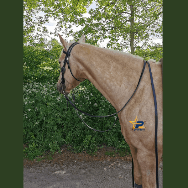 ProfChoice Black Latigo Split Reins 1/2" x 7