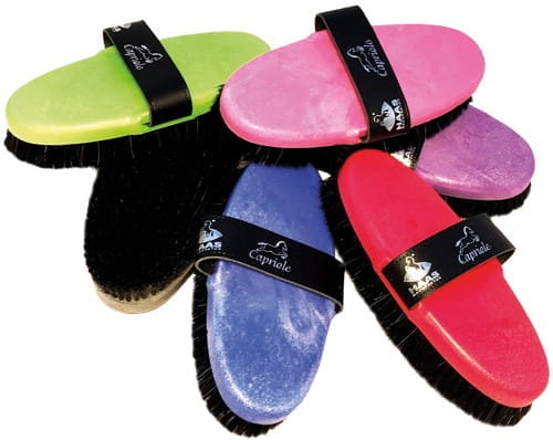 Capriole Kardätsche