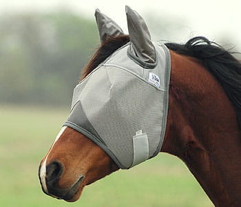 Crusader Fly Mask Cashel UV-Schutz Fliegenmaske mit Ohren