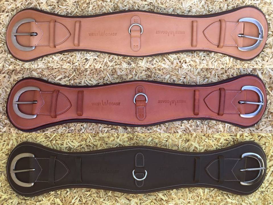 Cattleman's Leder Bauchgurt anatomisch gepolstert