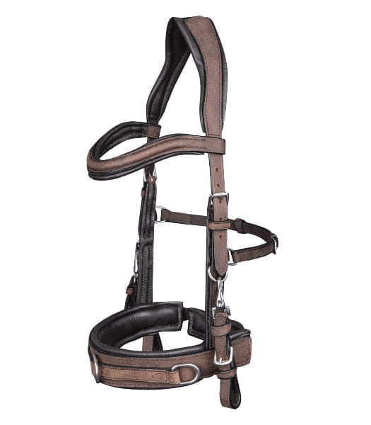 Lederkappzaum Anatomic