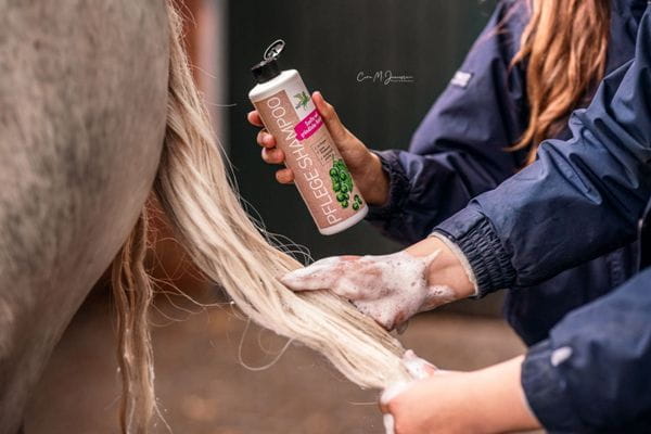 Bense & Eicke Pflege Shampoo