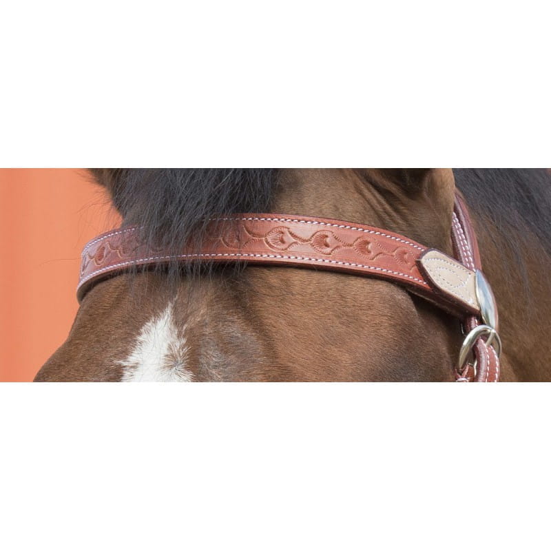 Browband Kopfstück Two Tone inkl Zügel