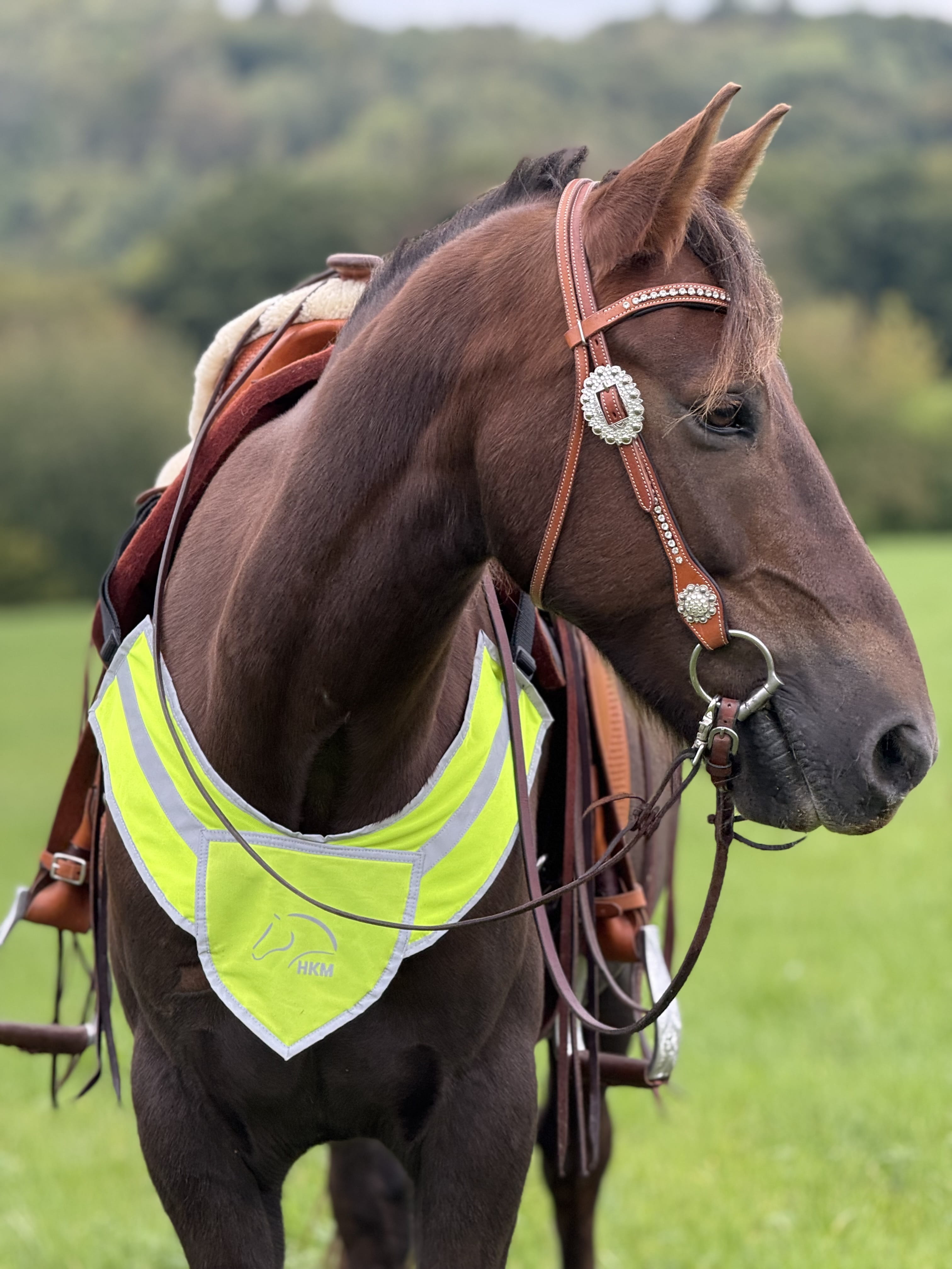 Vorderzeug Reflective