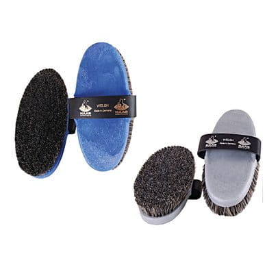 Haas Kardätsche Welsh