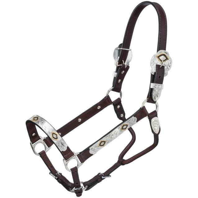 Royal King Gold & black Silver Show Halter