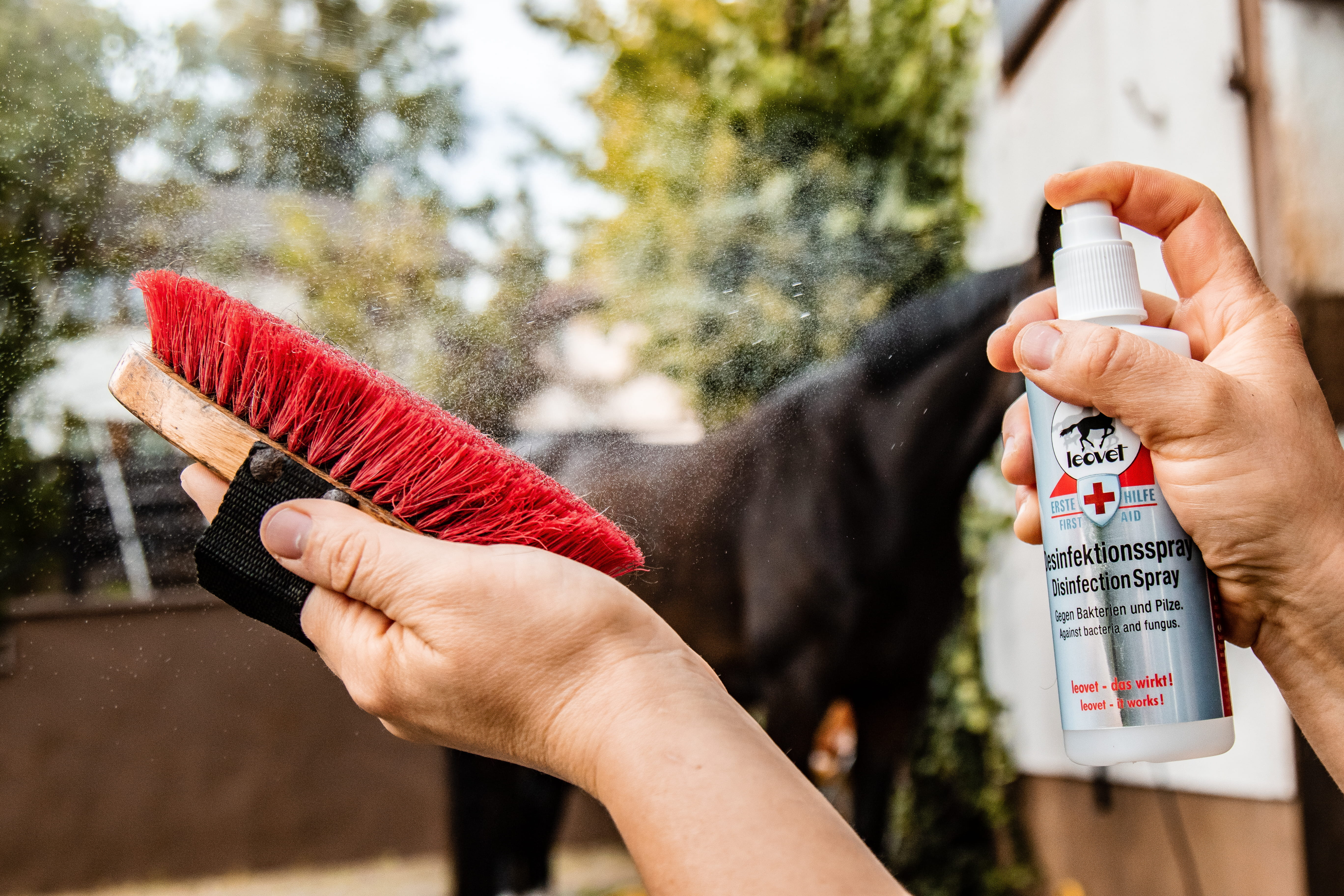 Leovet Erste Hilfe  Desinfektionsspray